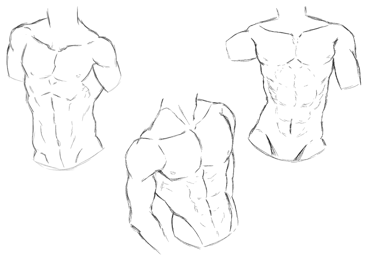 Cách vẽ body anime nam 6 múi